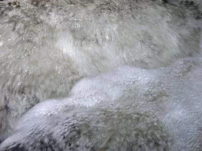 Wasserwesen 